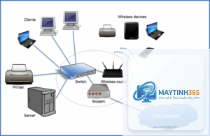 cách cấu hình network adapter