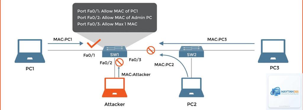 cách cấu hình network protection