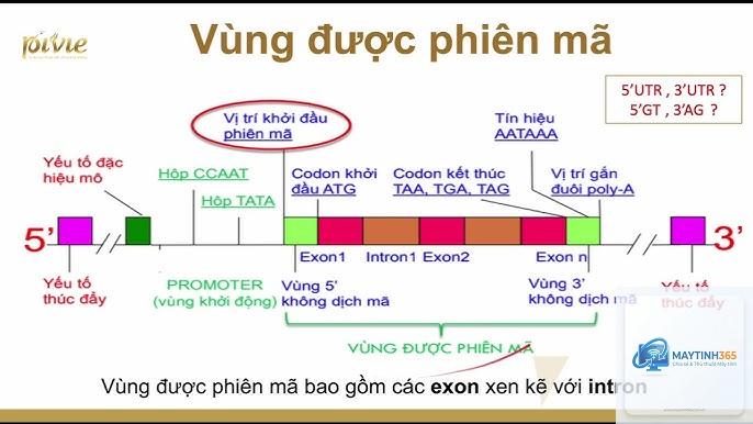 cách cấu hình phân vùng khởi động - Hình 5