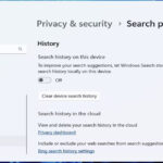 cách cấu hình search privacy