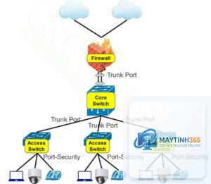 cách cấu hình security options