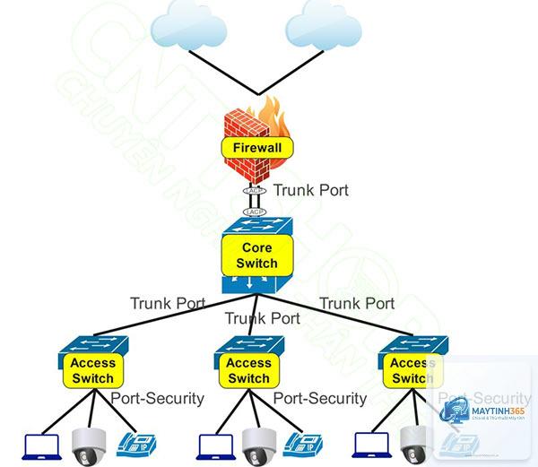 cách cấu hình security options