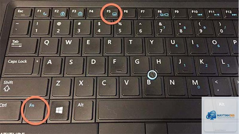 cách cấu hình touchpad nâng cao - Hình 3