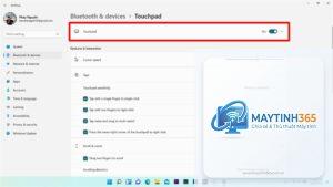 cách cấu hình touchpad windows 11