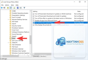 cách chỉnh group policy cho microsoft store