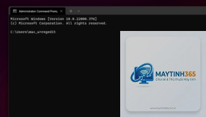 cách chỉnh registry cho windows terminal