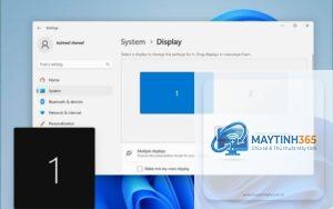 cách chọn main display windows 11