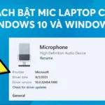 cách chọn micro mặc định windows 11