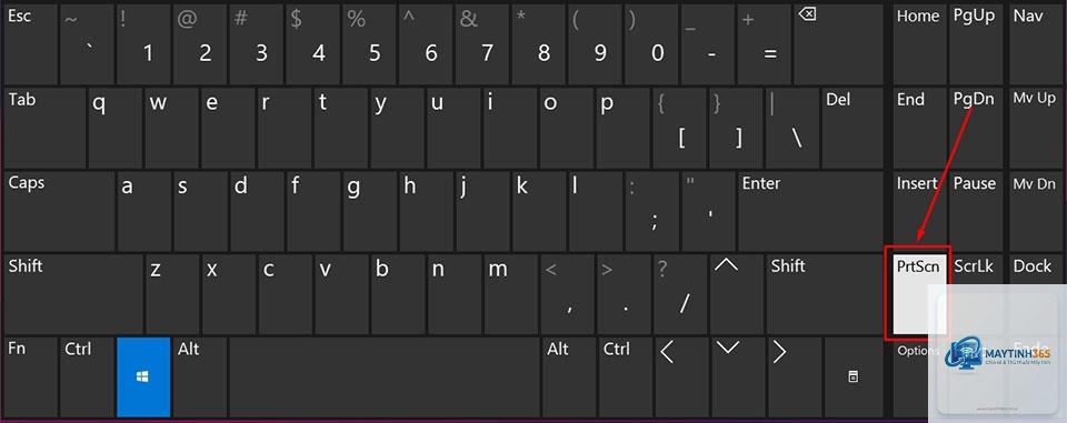 cách chụp màn hình windows 11
