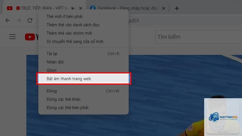 cách điều chỉnh âm lượng trình duyệt - Hình 3