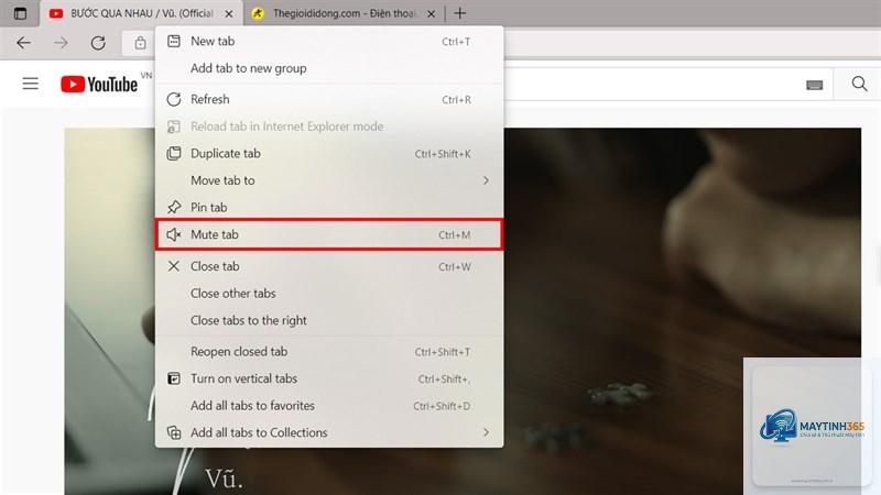 cách điều chỉnh âm lượng trình duyệt - Hình 5