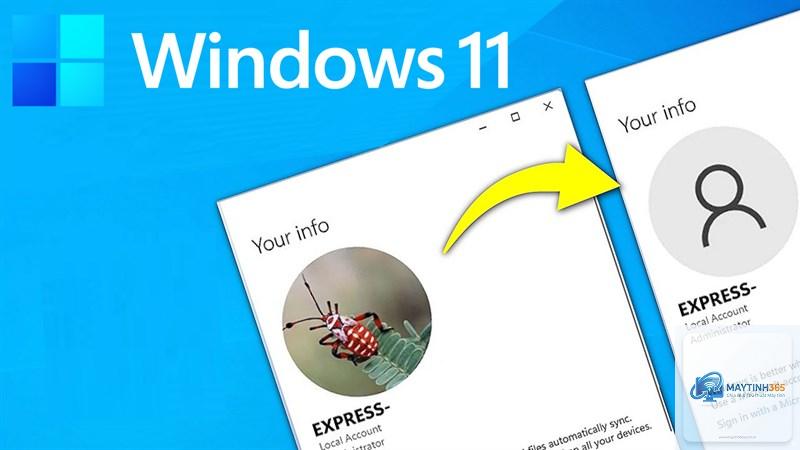 cách đổi ảnh đại diện tài khoản windows 11 - Hình 2