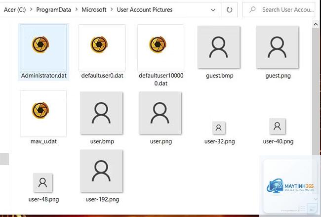 cách đổi ảnh đại diện tài khoản windows 11 - Hình 3