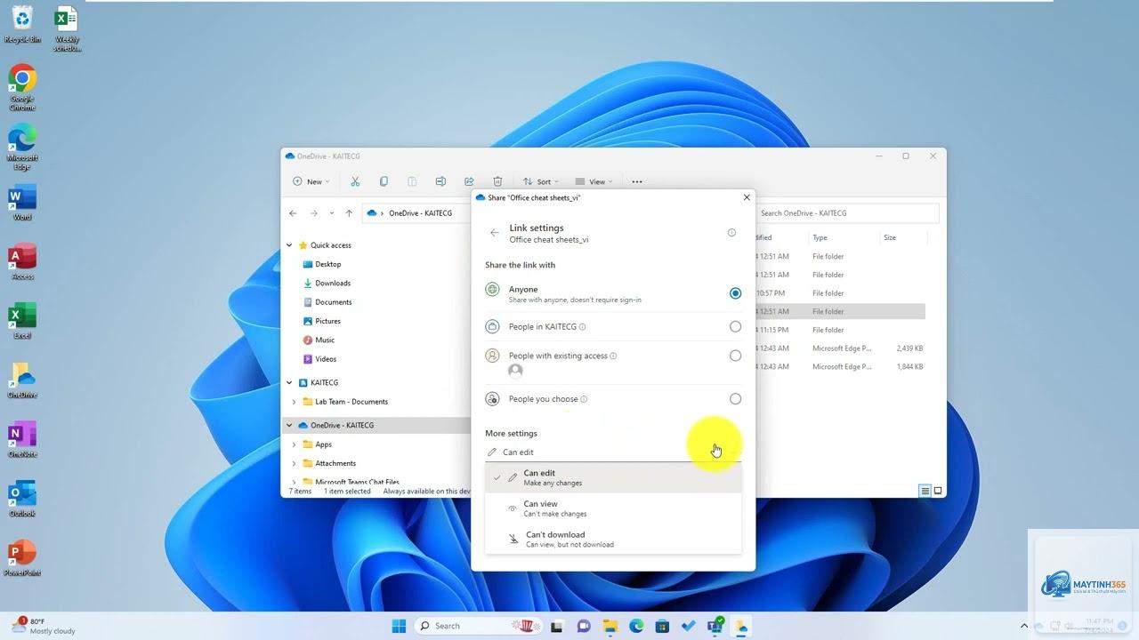 cách giảm chia sẻ dữ liệu với microsoft - Hình 5