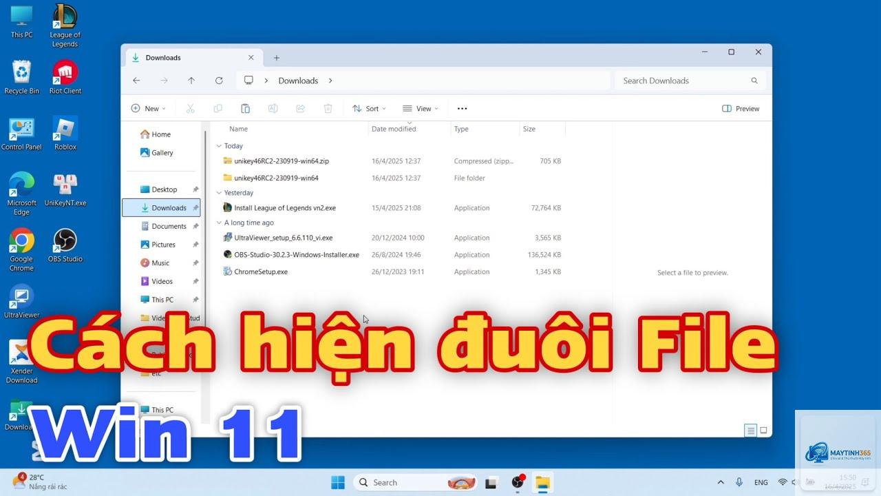 cách hiện đuôi file windows 11 - Hình 2