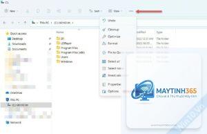 cách hiện đuôi file windows 11