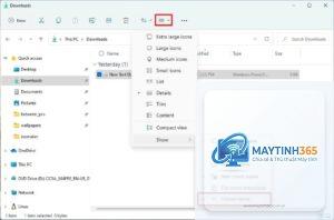 cách hiện file ẩn windows 11