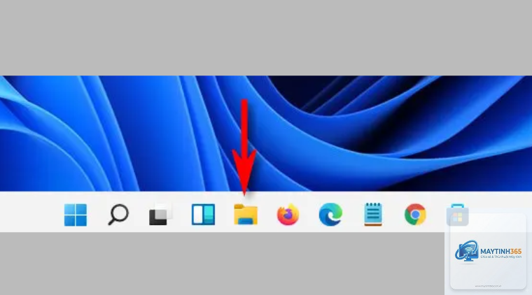 cách hiện file ẩn windows 11 - Hình 4