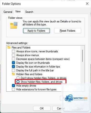 cách hiện file ẩn windows 11 - Hình 5