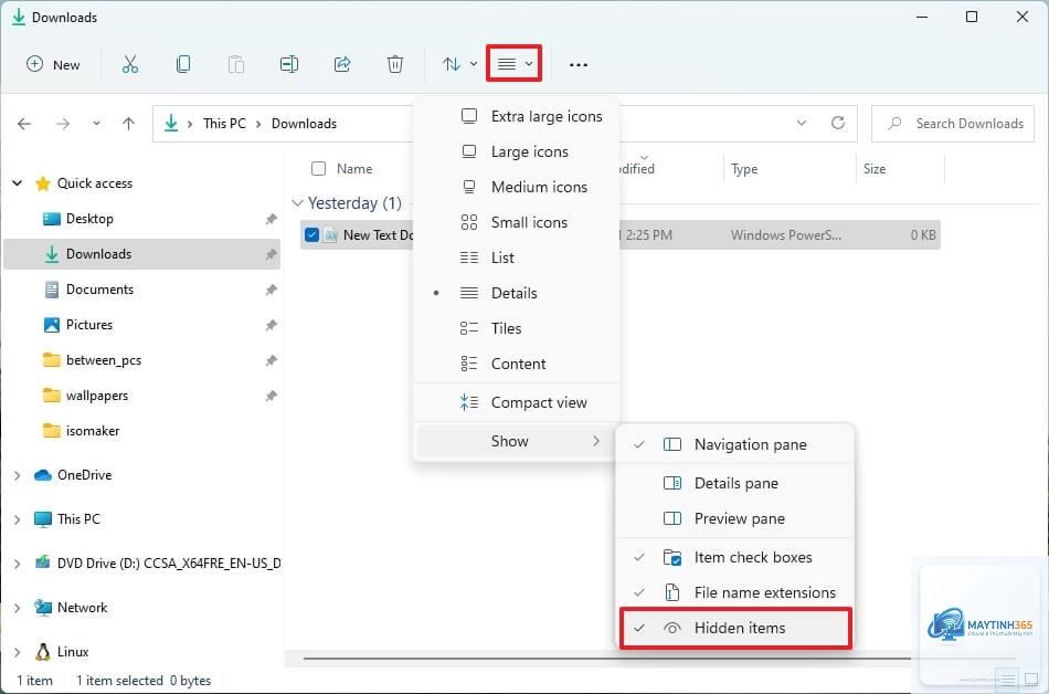 cách hiện file ẩn windows 11