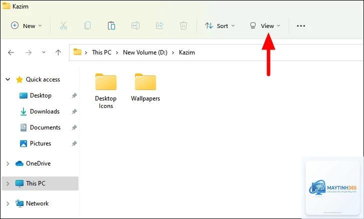 cách hiển thị file ẩn windows 11 - Hình 2
