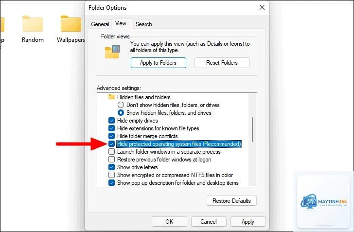 cách hiển thị file ẩn windows 11 - Hình 3