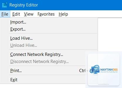 cách import registry windows 11 - Hình 5
