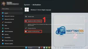 cách kích hoạt windows 11