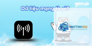 cách kiểm soát dữ liệu mạng