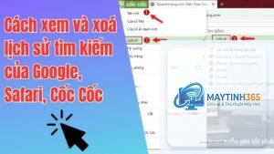 cách kiểm soát search history