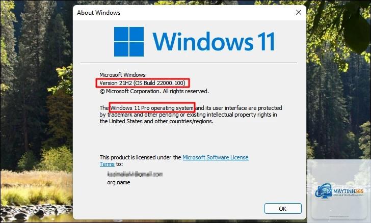 cách kiểm tra bản build windows 11 - Hình 5