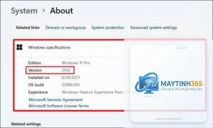 cách kiểm tra phiên bản windows 11