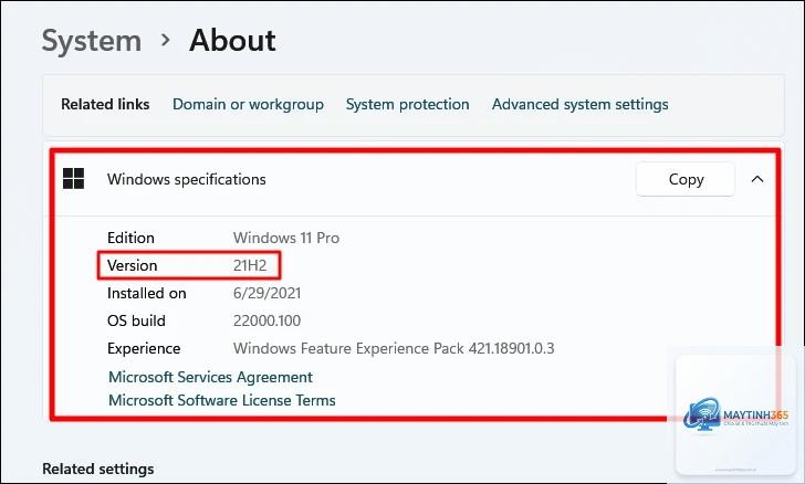 cách kiểm tra phiên bản windows 11