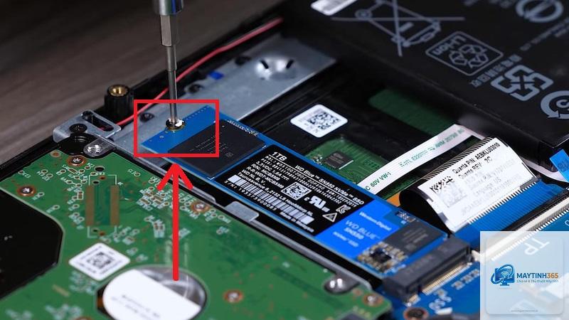 cách lắp SSD cho laptop - Hình 2