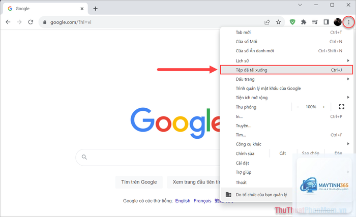 cách lọc file tải xuống