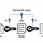 cách mã hóa dữ liệu