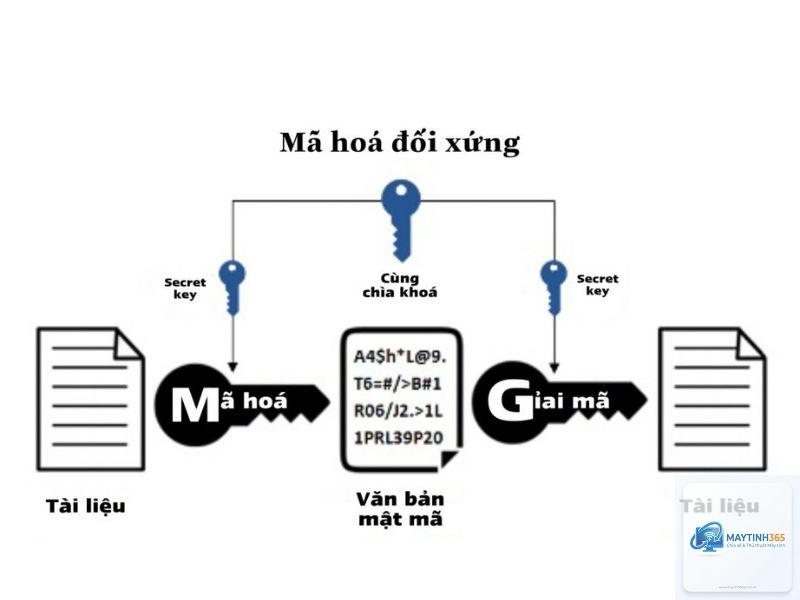 cách mã hóa dữ liệu
