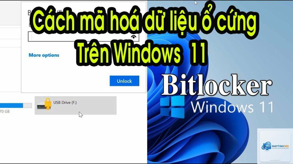 cách mã hóa ổ cứng windows 11