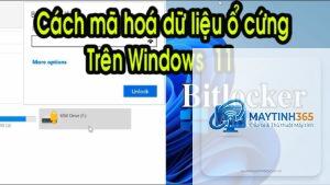 cách mã hóa ổ cứng windows 11