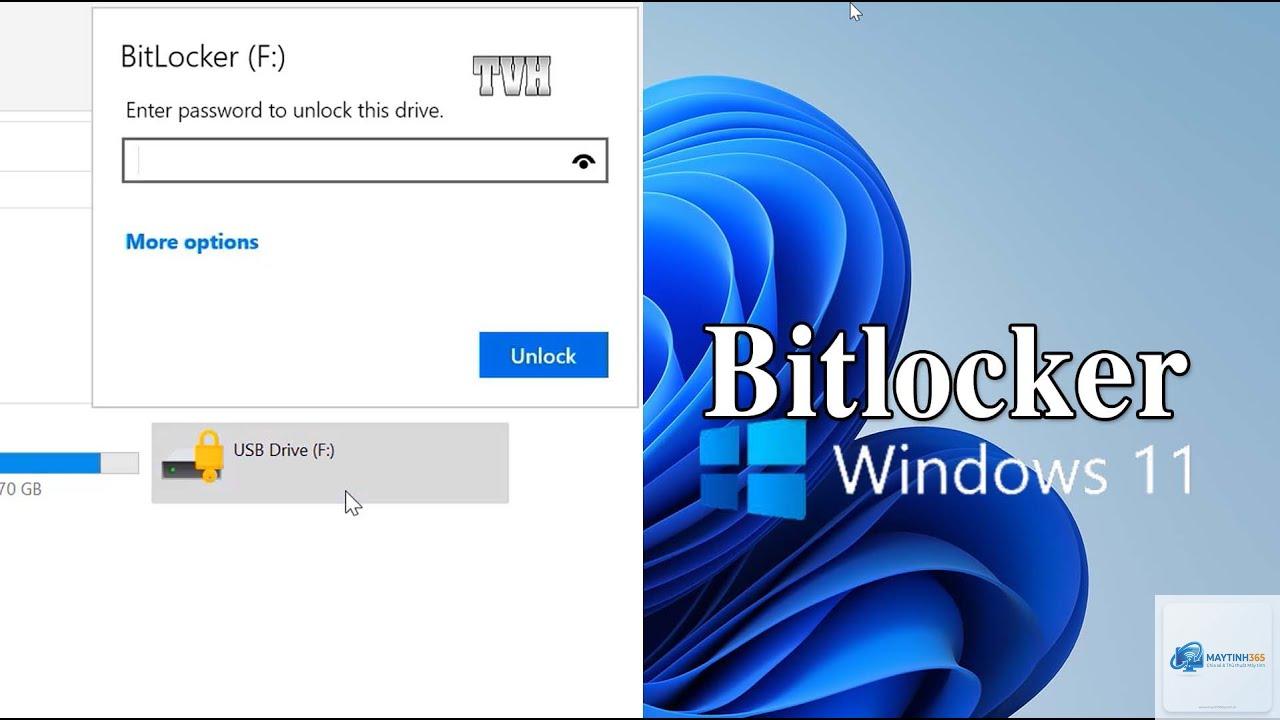 cách mã hóa ổ cứng windows 11 - Hình 5