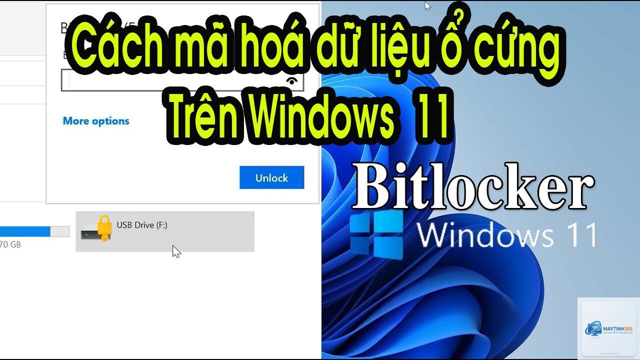 cách mã hóa ổ cứng windows 11 - Hình 1