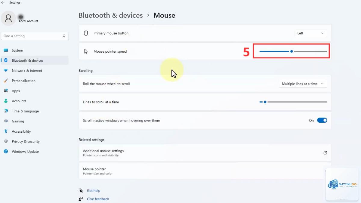 cách mở mouse settings windows 11 - Hình 4