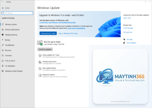 cách nâng cấp lên windows 11