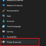 cách quản lý activity history