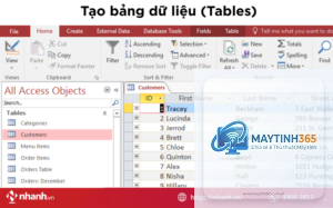 cách quản lý app access