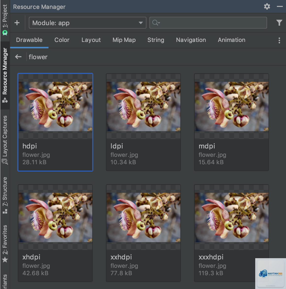 cách quản lý app resources - Hình 2