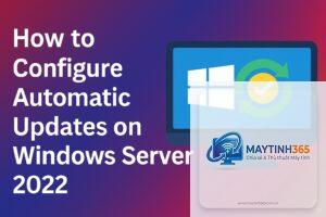 cách quản lý automatic updates