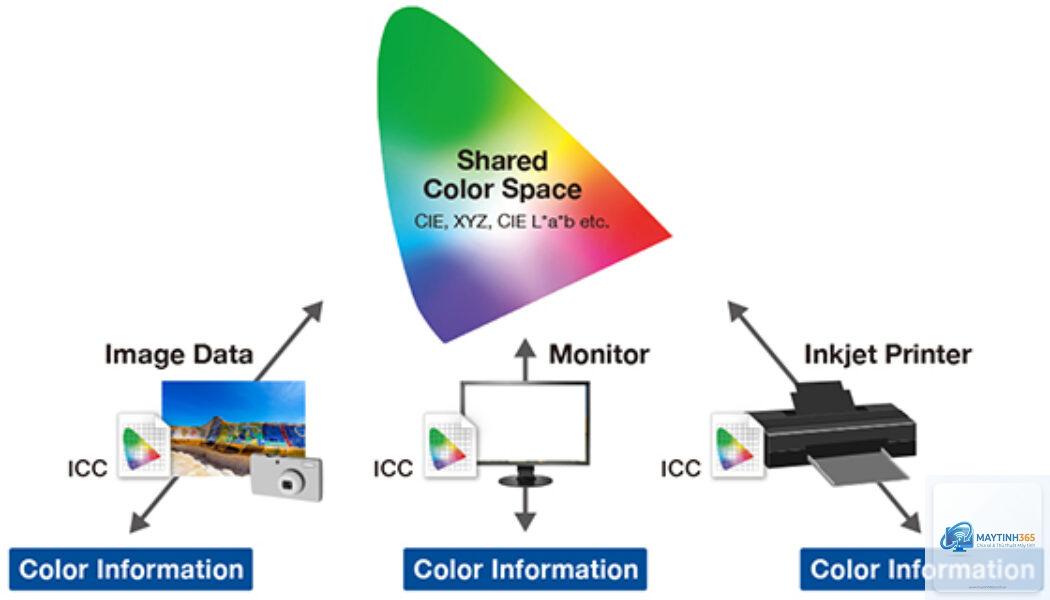 cách quản lý color profile - Hình 2