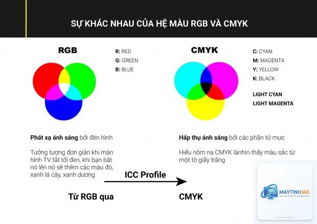 cách quản lý color profile - Hình 5