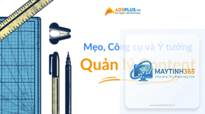 cách quản lý content search